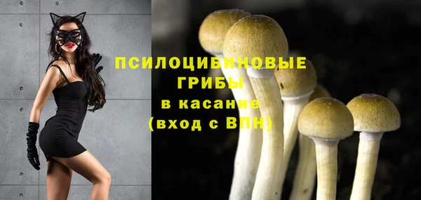 Альфа ПВП Бронницы