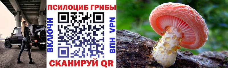 Галлюциногенные грибы мухоморы  наркота  hydra рабочий сайт  Березники 
